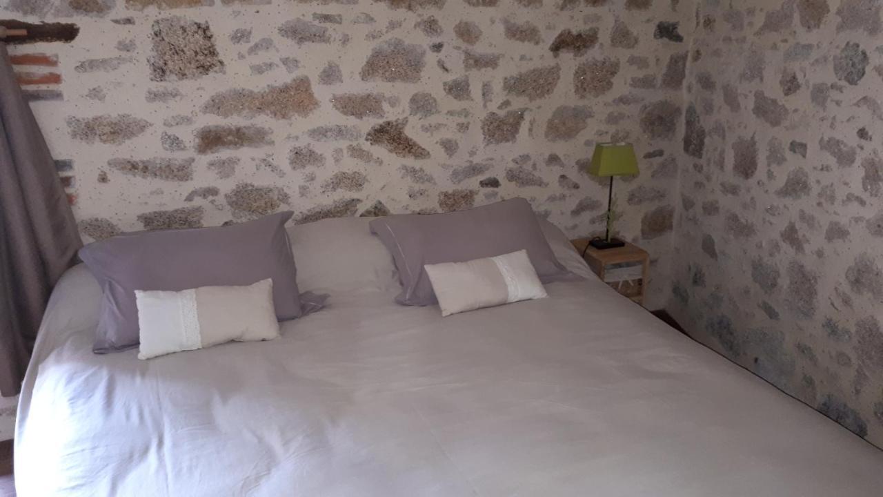 مبيت وإفطار Les Châtelliers-Châteaumur Demeure Du Castel المظهر الخارجي الصورة